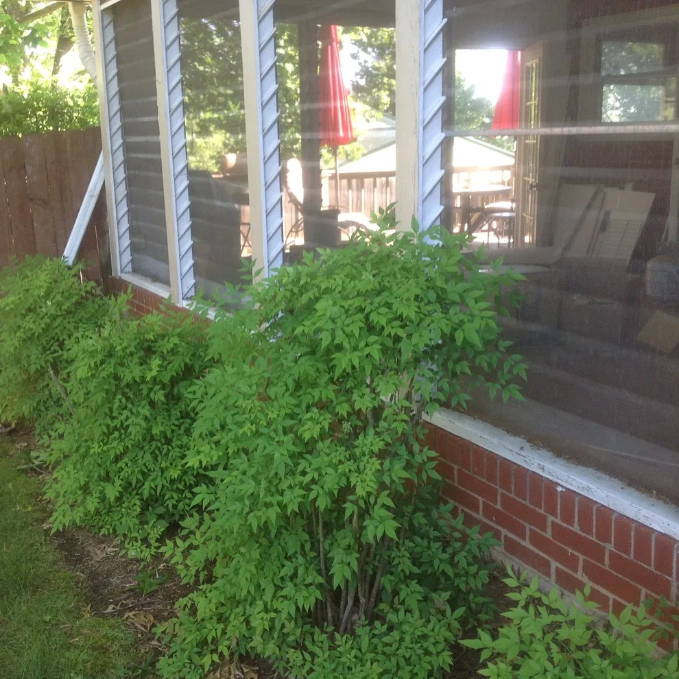 Enclosed Patio by Technically Aesthetic General Contractors - Photo 5