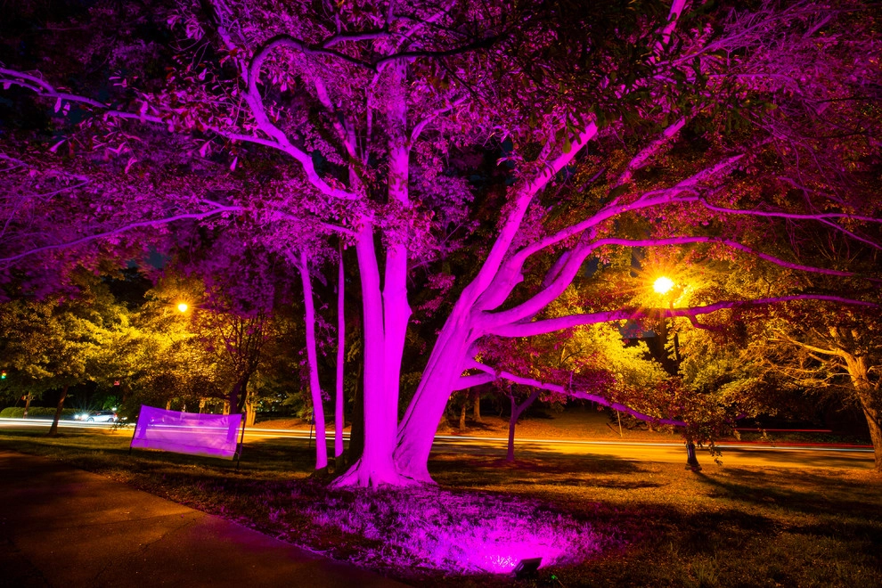 Olmsteid/Plein Air 2018 by Lights Over Atlanta - Photo 18