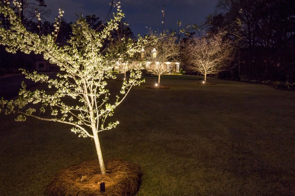 Lights Over Atlanta - Photo 8