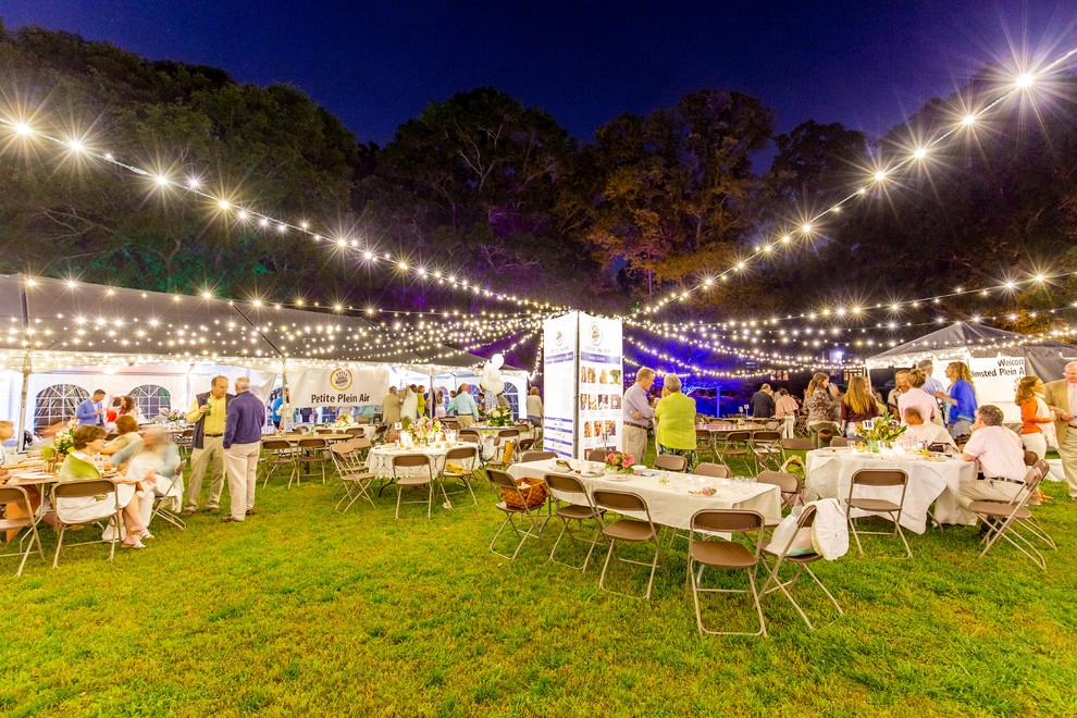 Olmsteid/Plein Air 2018 by Lights Over Atlanta - Photo 6