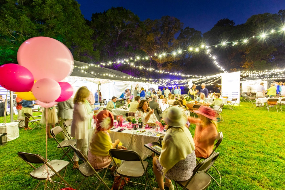 Olmsteid/Plein Air 2018 by Lights Over Atlanta - Photo 11