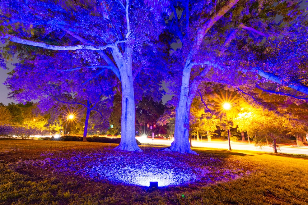 Olmsteid/Plein Air 2018 by Lights Over Atlanta - Photo 4