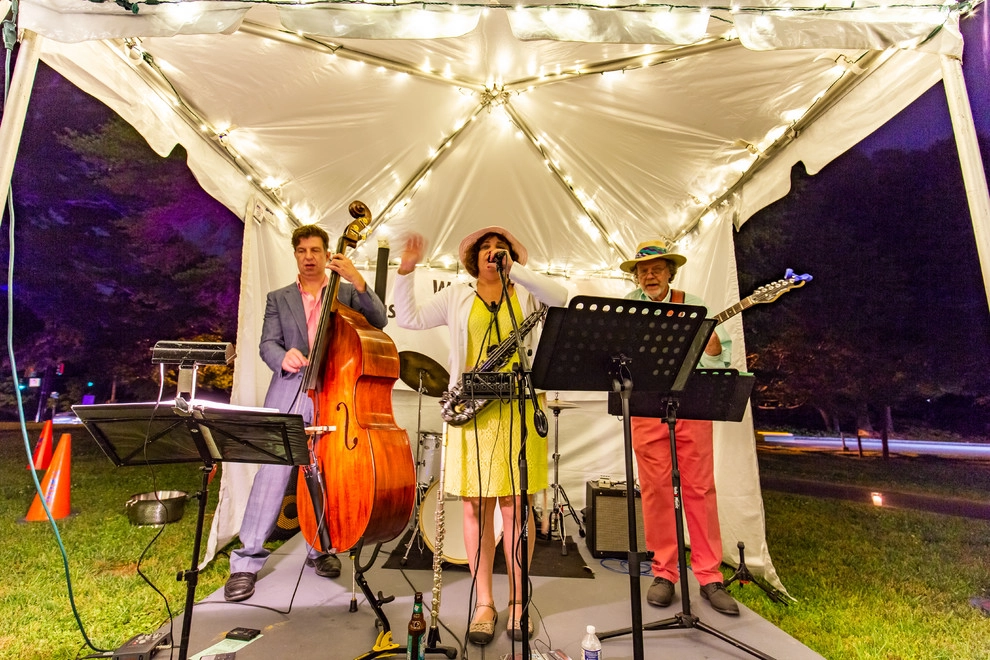Olmsteid/Plein Air 2018 by Lights Over Atlanta - Photo 23