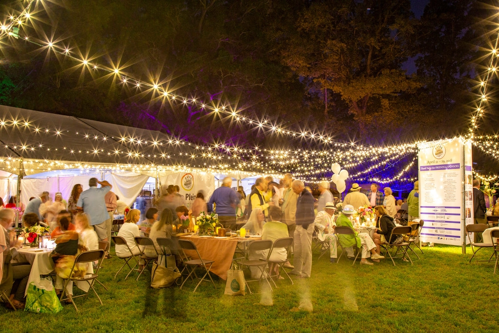 Olmsteid/Plein Air 2018 by Lights Over Atlanta - Photo 5