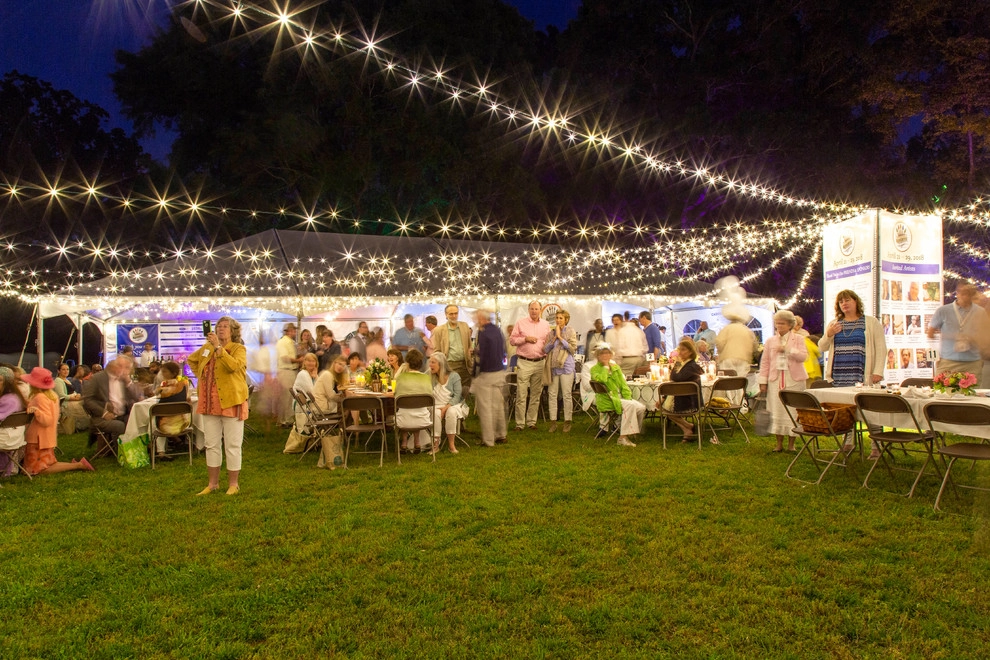 Olmsteid/Plein Air 2018 by Lights Over Atlanta - Photo 16