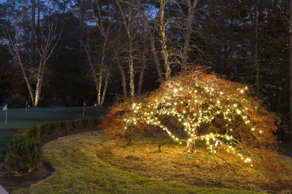 Sandy Springs Christmas Lighting - 2017 - 2 by Lights Over Atlanta - Photo 5