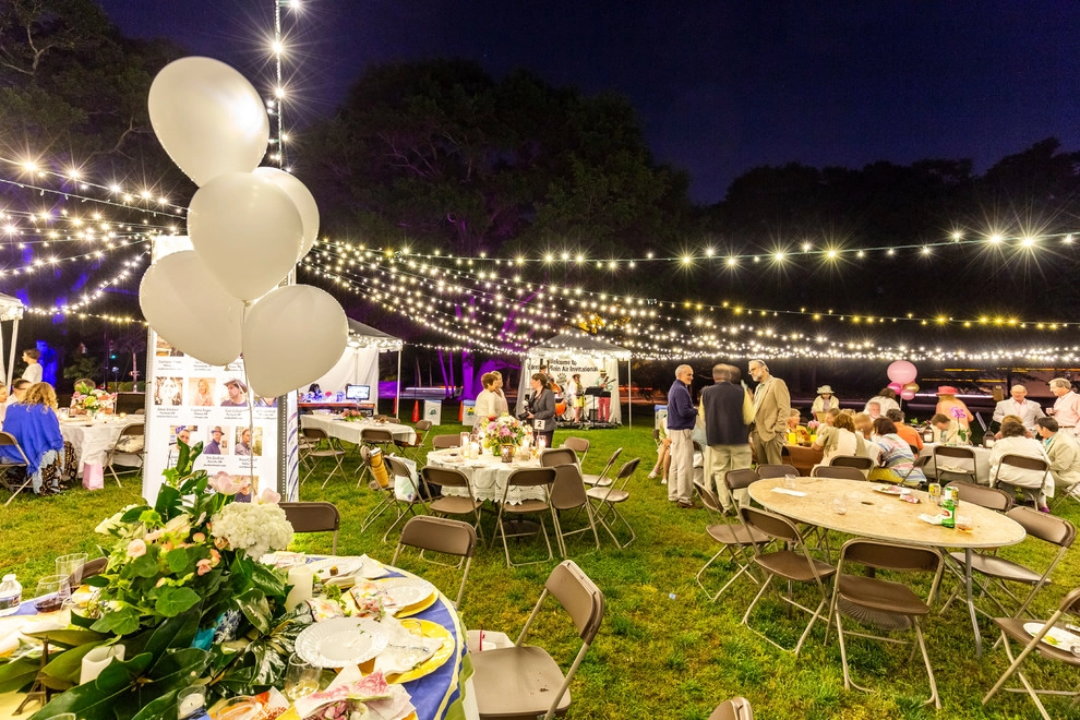 Olmsteid/Plein Air 2018 by Lights Over Atlanta - Photo 7