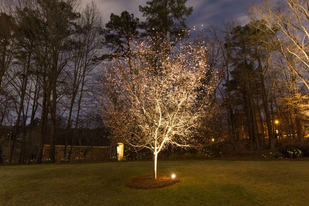 Kennesaw Landscape Lighting by Lights Over Atlanta - Photo 12