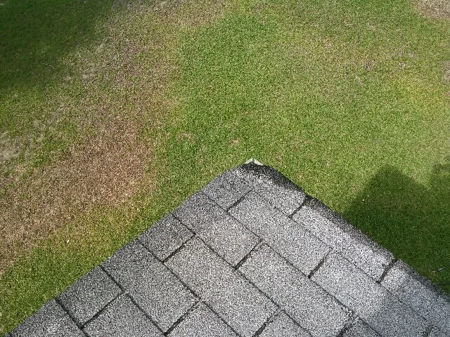 Roof Covering by Richard's Home Innovations - Photo 5