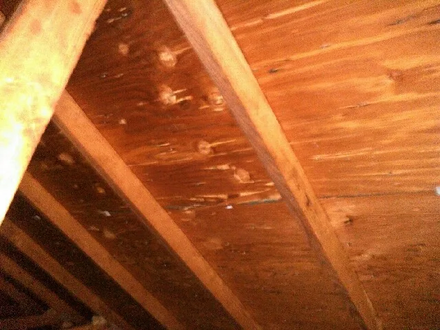 Roof Covering by Richard's Home Innovations - Photo 21