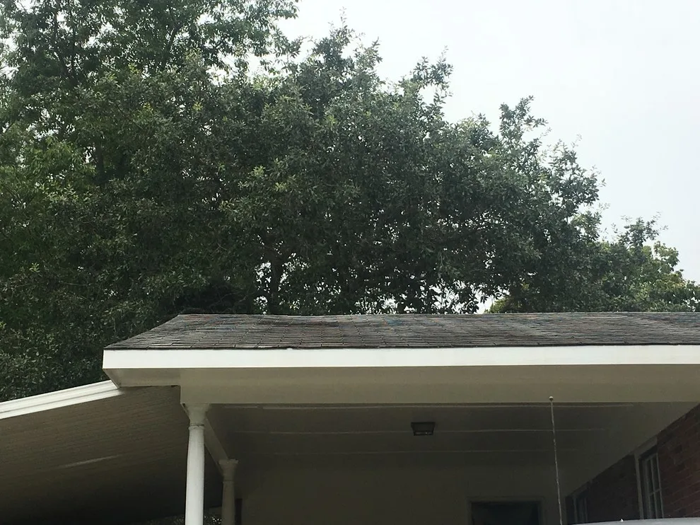Roof Covering by Richard's Home Innovations - Photo 25