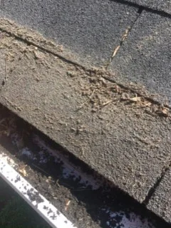 Roof Shingle Replacement by Richard's Home Innovations - Photo 4