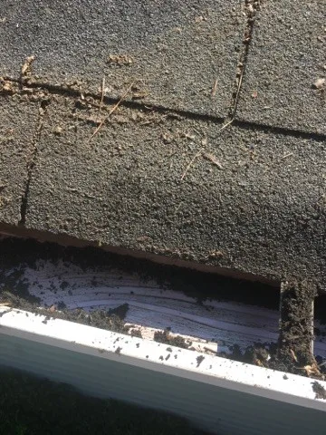 Roof Shingle Replacement by Richard's Home Innovations - Photo 15