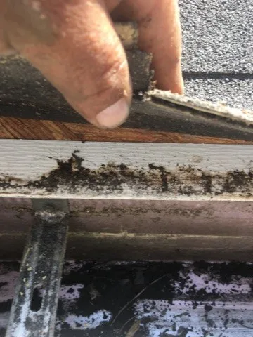 Roof Shingle Replacement by Richard's Home Innovations - Photo 10