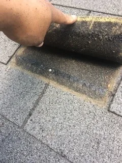 Roof Shingle Replacement by Richard's Home Innovations - Photo 13