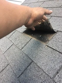 Roof Shingle Replacement by Richard's Home Innovations - Photo 12