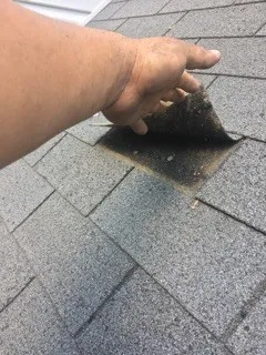 Roof Shingle Replacement by Richard's Home Innovations - Photo 3