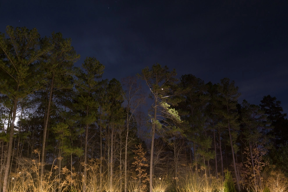 Acworth Georgia Outdoor Lighting by Lights Over Atlanta - Photo 2