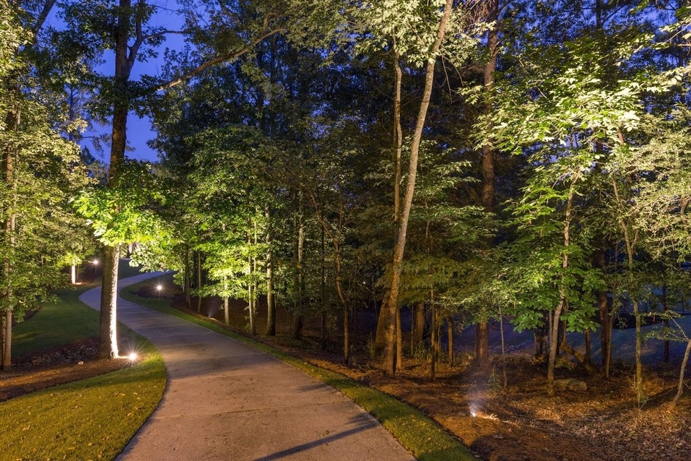 Lights Over Atlanta - Photo 9