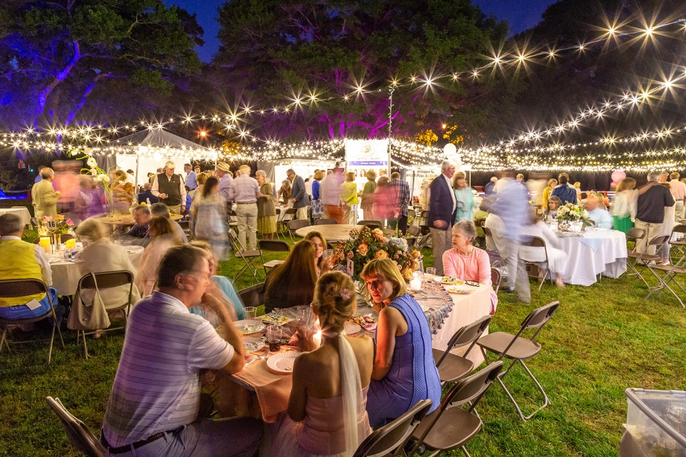 Olmsteid/Plein Air 2018 by Lights Over Atlanta - Photo 8