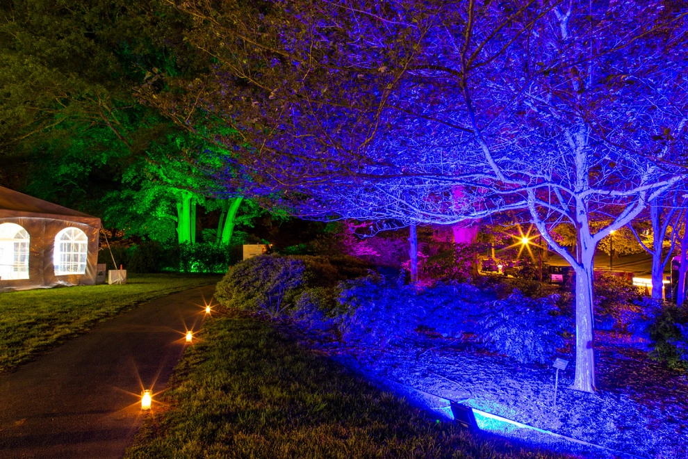Olmsteid/Plein Air 2018 by Lights Over Atlanta - Photo 26