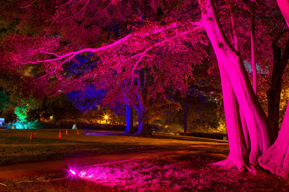 Olmsteid/Plein Air 2018 by Lights Over Atlanta - Photo 21
