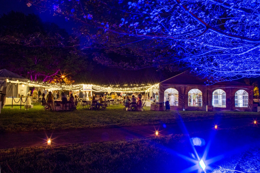 Olmsteid/Plein Air 2018 by Lights Over Atlanta - Photo 14