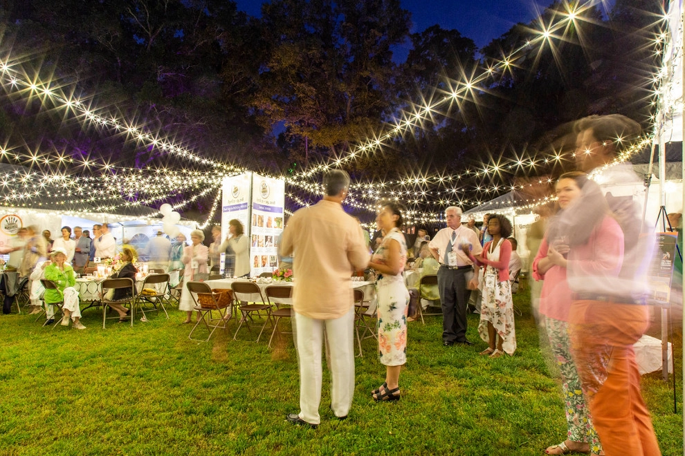 Olmsteid/Plein Air 2018 by Lights Over Atlanta - Photo 12