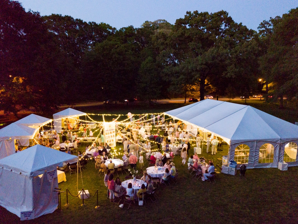 Olmsteid/Plein Air 2018 by Lights Over Atlanta - Photo 19