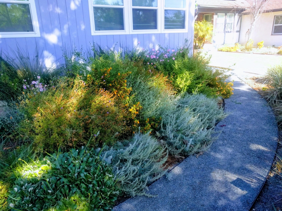 Lawn to Garden Conversions by California Eco Design, Inc. - Photo 6