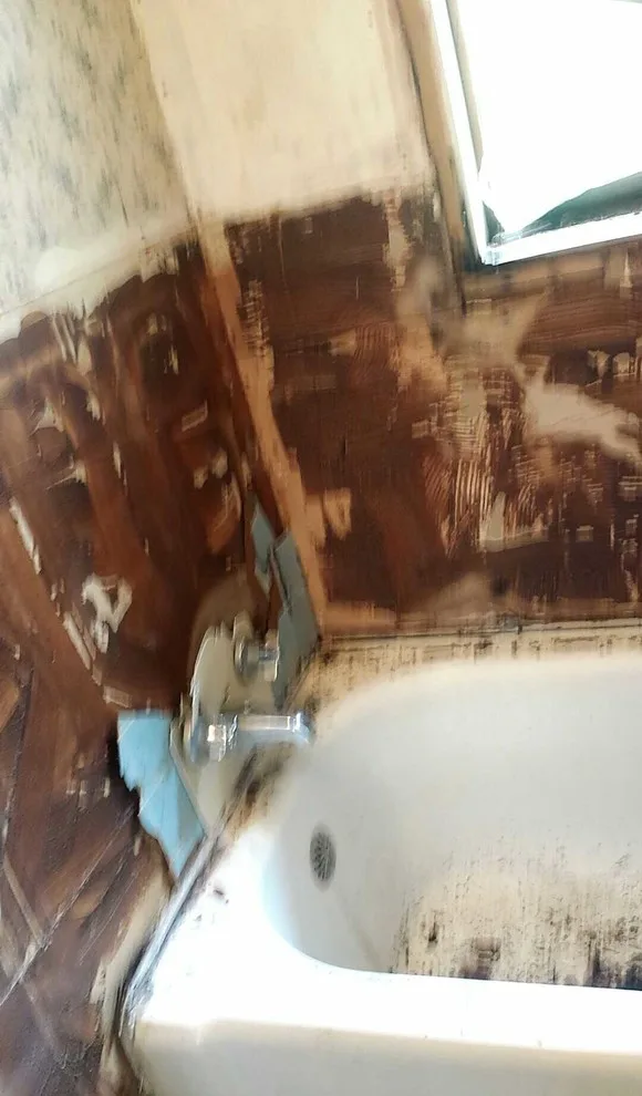 Malone Bathroom Renovation by Strickland Painting And Construction - Photo 4