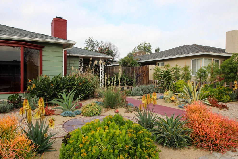 California Heights Craftsman Xeriscape by California Eco Design, Inc. - Photo 8