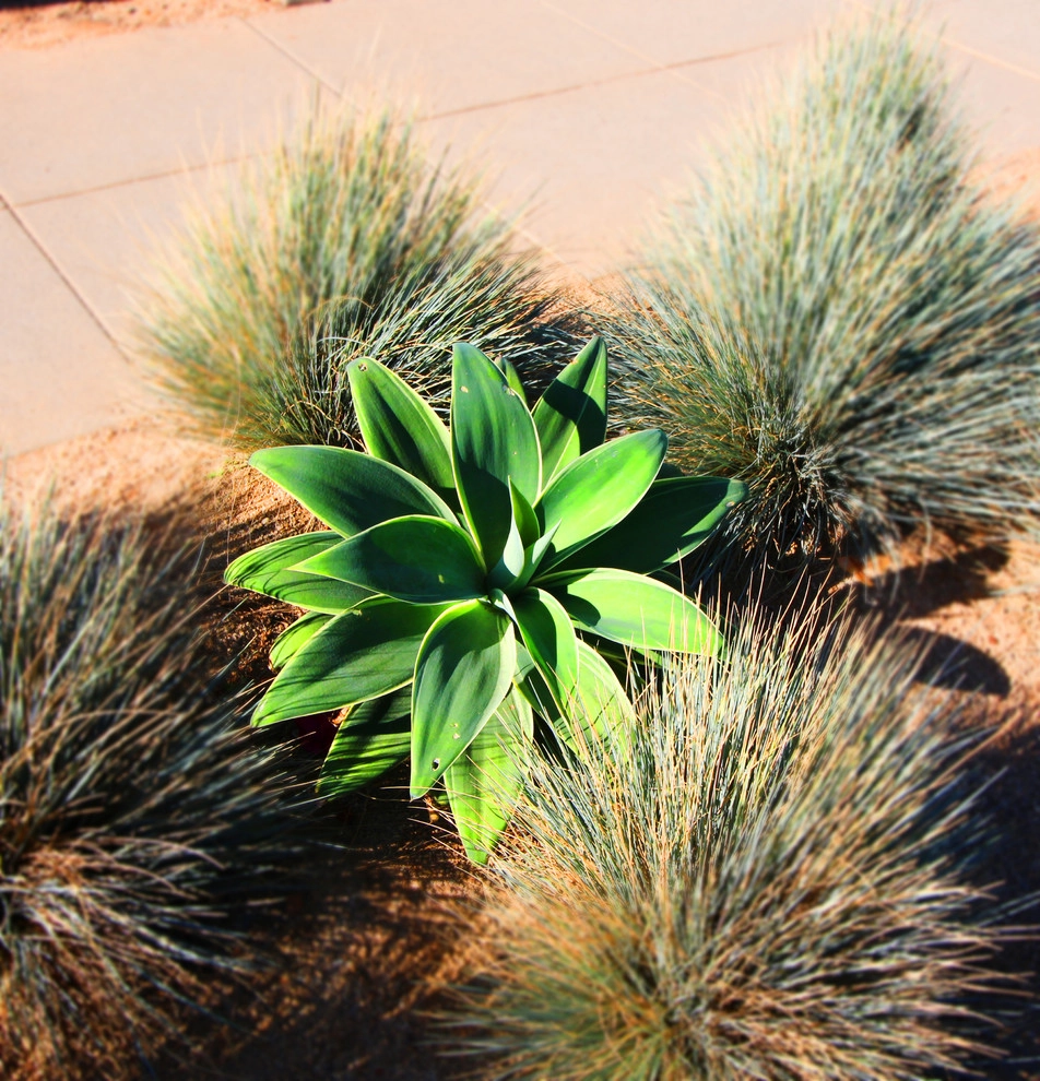 California Eco Design, Inc. - Photo 2