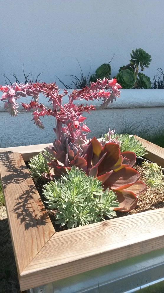 California Eco Design, Inc. - Photo 12