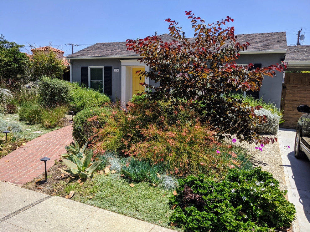 Lawn to Garden Conversions by California Eco Design, Inc. - Photo 5