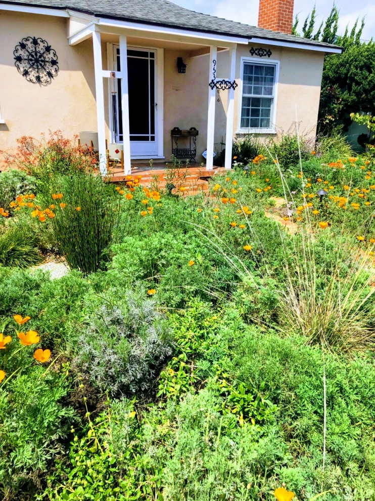 Lawn to Garden Conversions by California Eco Design, Inc. - Photo 9
