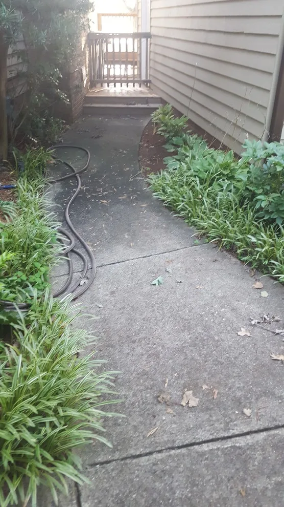 Driveway and Sidewalk Capture Project by Conservation Renovations Inc. - Photo 31