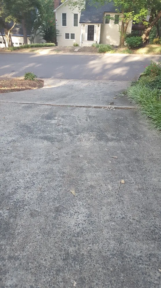 Driveway and Sidewalk Capture Project by Conservation Renovations Inc. - Photo 29