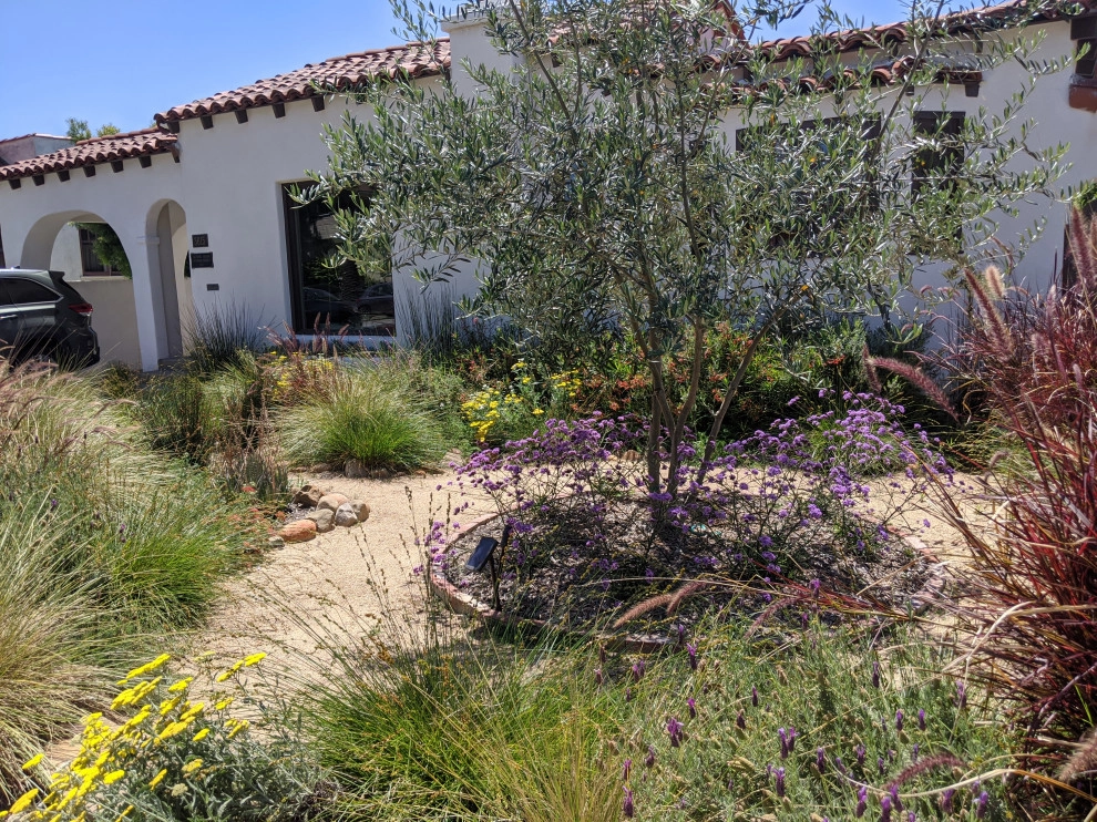 Lawn to Garden Conversions by California Eco Design, Inc. - Photo 4
