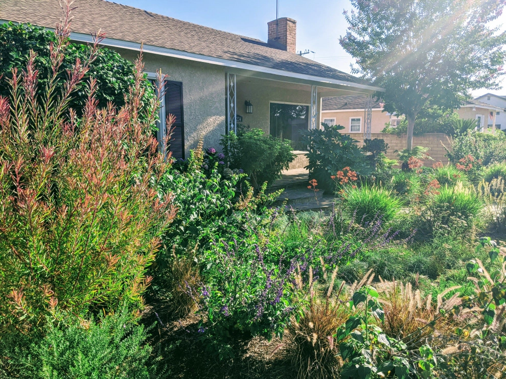 Lawn to Garden Conversions by California Eco Design, Inc. - Photo 2