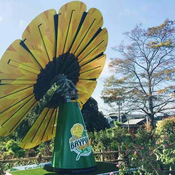 Solar Intelligent Bloom by Rodeo Construction, LLC - Photo 2