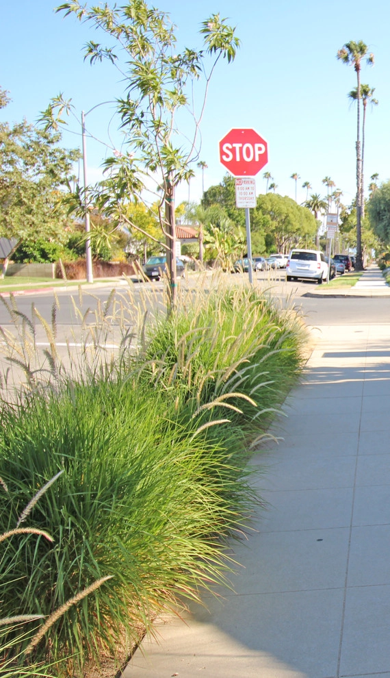 ReXeriscape by California Eco Design, Inc. - Photo 3