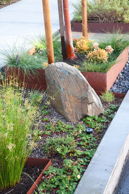 Long Beach Modern by California Eco Design, Inc. - Photo 5