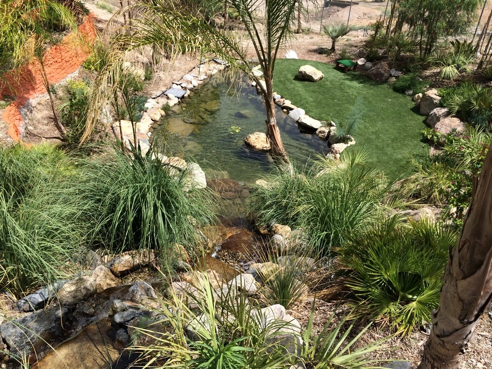 Cesar Millan's Desert Oasis by California Waterscapes - Photo 10