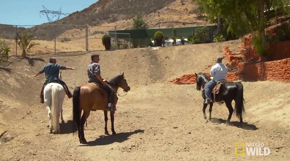 Cesar Millan's Desert Oasis by California Waterscapes - Photo 7