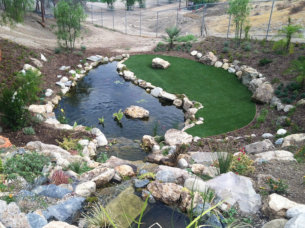 Cesar Millan's Desert Oasis by California Waterscapes - Photo 4