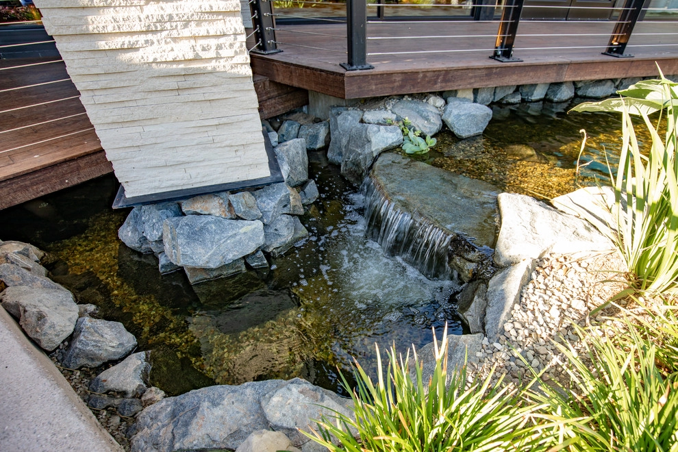 Castaway Restaurant Burbank Koi Pond by California Waterscapes - Photo 5