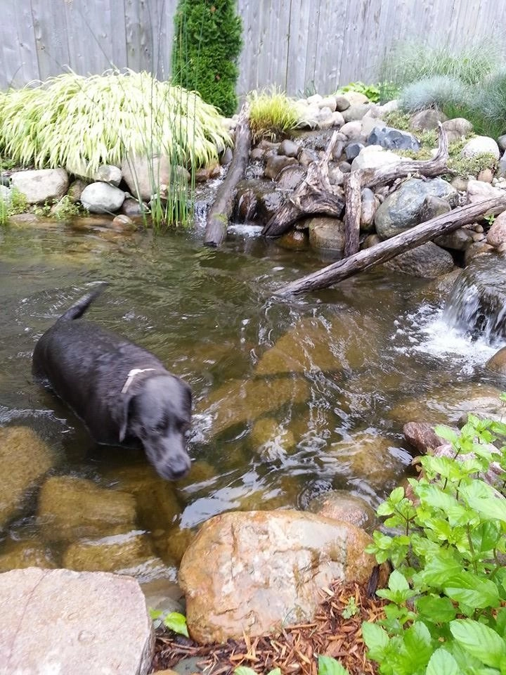 Living Water Landscape Service - Photo 11