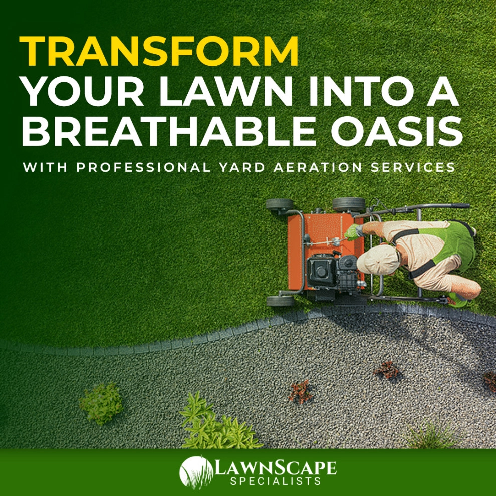Lawn Overseeding & Aeration by Lawnscape Specialists - Photo 2