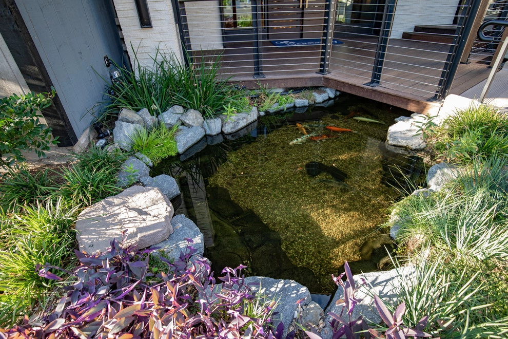Castaway Restaurant Burbank Koi Pond by California Waterscapes - Photo 12